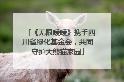 《无限暖暖》携手四川省绿化基金会，共同守护大熊猫家园
