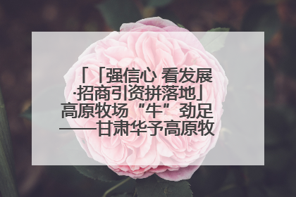 「强信心 看发展·招商引资拼落地」高原牧场“牛”劲足——甘肃华予高原牧场高标准奶牛肉牛养殖项目一线见闻