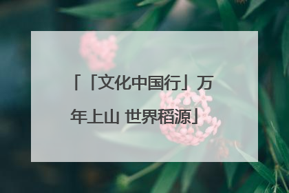 「文化中国行」万年上山 世界稻源