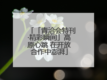 「青洽会特刊·精彩瞬间」高原心跳 在开放合作中澎湃