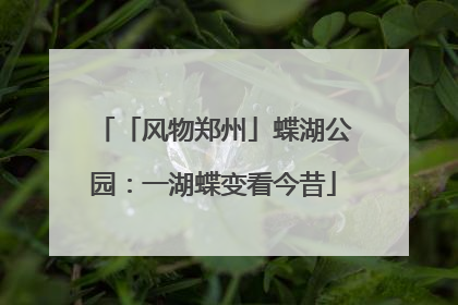 「风物郑州」蝶湖公园：一湖蝶变看今昔