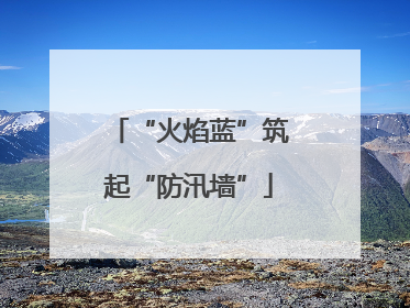 “火焰蓝”筑起“防汛墙”