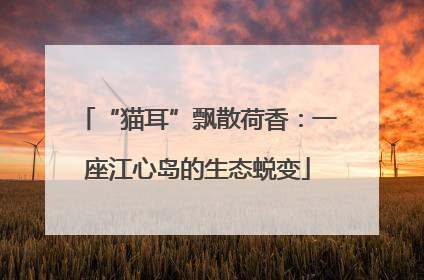 “猫耳”飘散荷香：一座江心岛的生态蜕变