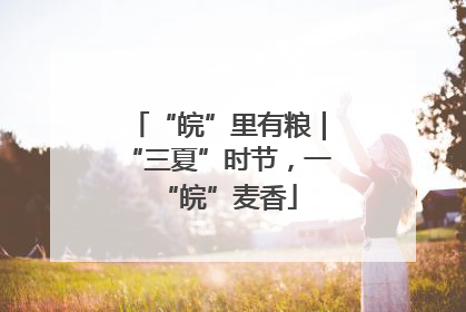 “皖”里有粮｜“三夏”时节，一“皖”麦香