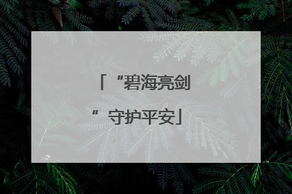 “碧海亮剑”守护平安