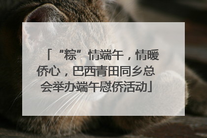 “粽”情端午，情暖侨心，巴西青田同乡总会举办端午慰侨活动
