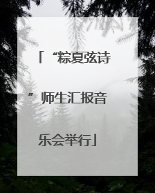 “粽夏弦诗”师生汇报音乐会举行
