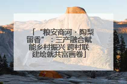 “粮安商河・陶梨留香”：三产融合赋能乡村振兴 跨村联建绘就共富画卷
