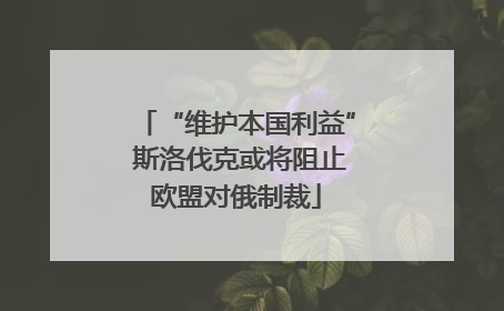 “维护本国利益” 斯洛伐克或将阻止欧盟对俄制裁