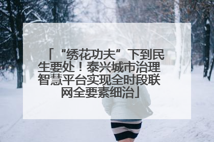 “绣花功夫”下到民生要处！泰兴城市治理智慧平台实现全时段联网全要素细治