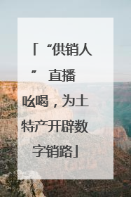 “供销人” 直播 吆喝，为土特产开辟数字销路