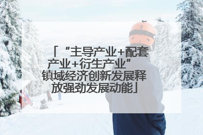 “主导产业+配套产业+衍生产业” 镇域经济创新发展释放强劲发展动能