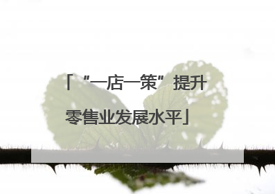 “一店一策”提升零售业发展水平