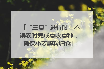 “三夏”进行时丨不误农时完成夏收夏种，确保小麦颗粒归仓