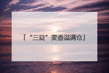 “三夏”麦香溢满仓