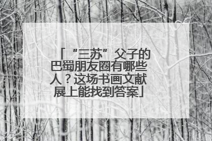 “三苏”父子的巴蜀朋友圈有哪些人？这场书画文献展上能找到答案