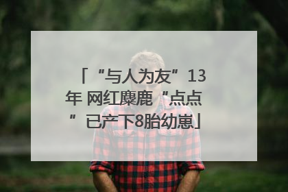 “与人为友”13年 网红麋鹿“点点”已产下8胎幼崽