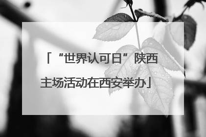 “世界认可日”陕西主场活动在西安举办