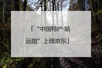 “中国特产·靖远馆”上线京东