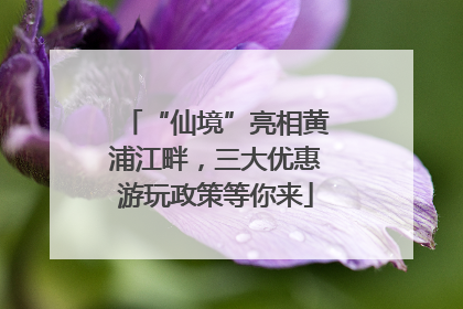 “仙境”亮相黄浦江畔，三大优惠游玩政策等你来