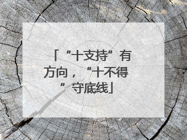 “十支持”有方向，“十不得”守底线
