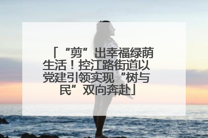 “剪”出幸福绿荫生活！控江路街道以党建引领实现“树与民”双向奔赴