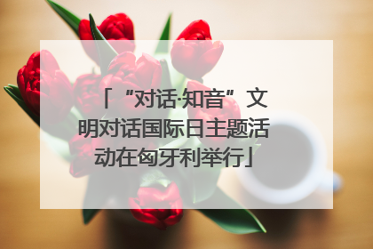 “对话·知音”文明对话国际日主题活动在匈牙利举行