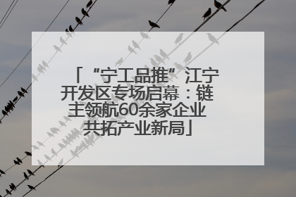 “宁工品推”江宁开发区专场启幕：链主领航60余家企业共拓产业新局