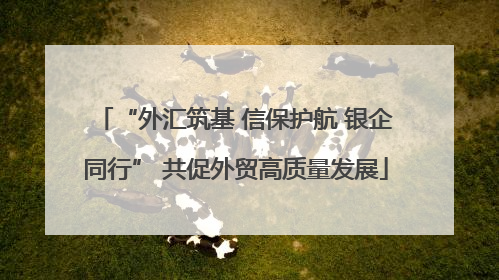 “外汇筑基 信保护航 银企同行” 共促外贸高质量发展