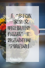 “多民族一家亲 文明让银川更有品质”主题活动在闽宁镇启动