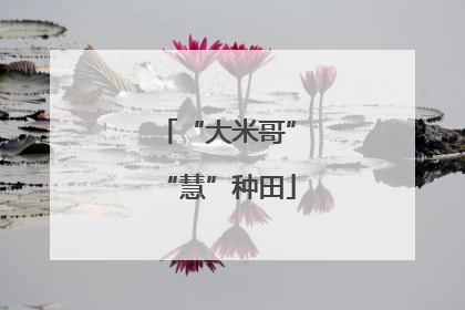 “大米哥”“慧”种田