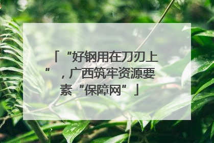“好钢用在刀刃上”，广西筑牢资源要素“保障网”