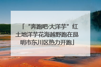 “奔跑吧·大洋芋”红土地洋芋花海越野跑在昆明市东川区热力开跑