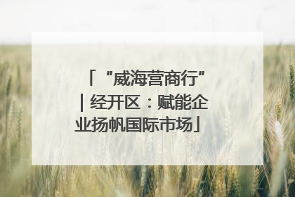 “威海营商行”｜经开区：赋能企业扬帆国际市场
