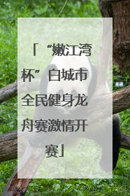 “嫩江湾杯”白城市全民健身龙舟赛激情开赛