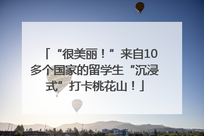 “很美丽！”来自10多个国家的留学生“沉浸式”打卡桃花山！