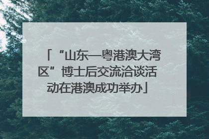 “山东—粤港澳大湾区”博士后交流洽谈活动在港澳成功举办