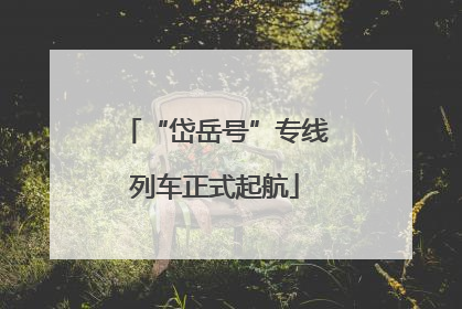 “岱岳号”专线列车正式起航