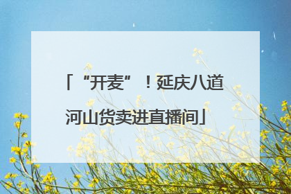 “开麦”！延庆八道河山货卖进直播间