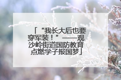 “我长大后也要穿军装！”——观沙岭街道国防教育点燃学子报国梦
