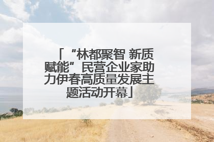 “林都聚智 新质赋能”民营企业家助力伊春高质量发展主题活动开幕
