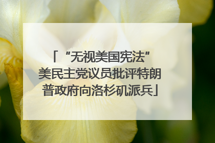 “无视美国宪法” 美民主党议员批评特朗普政府向洛杉矶派兵