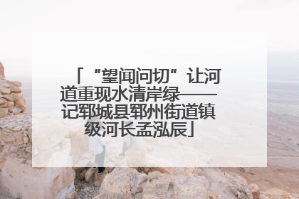 “望闻问切”让河道重现水清岸绿——记郓城县郓州街道镇级河长孟泓辰