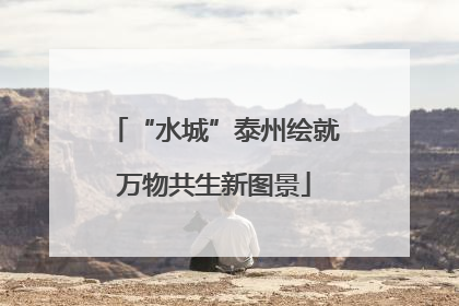 “水城”泰州绘就万物共生新图景