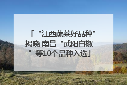 “江西蔬菜好品种”揭晓 南昌“武阳白椒”等10个品种入选