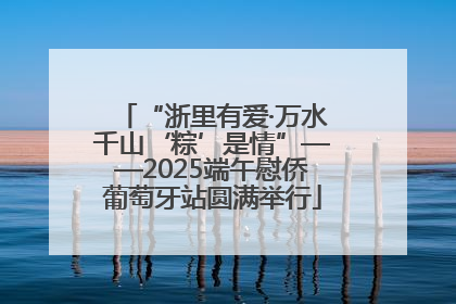 “浙里有爱·万水千山‘粽’是情”——2025端午慰侨葡萄牙站圆满举行