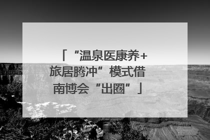 “温泉医康养+旅居腾冲”模式借南博会“出圈”
