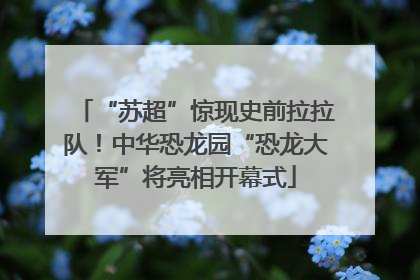 “苏超”惊现史前拉拉队！中华恐龙园“恐龙大军”将亮相开幕式
