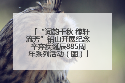 “词韵千秋 稼轩流芳”铅山开展纪念辛弃疾诞辰885周年系列活动（图）