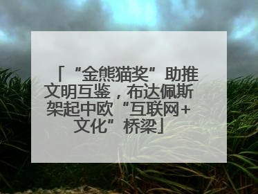 “金熊猫奖”助推文明互鉴，布达佩斯架起中欧“互联网+文化”桥梁